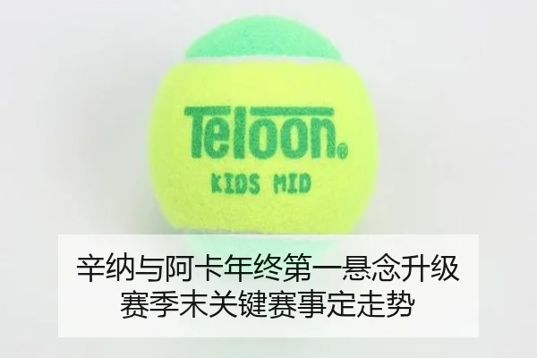 辛纳与阿卡年终第一悬念升级 赛季末关键赛事定走势
