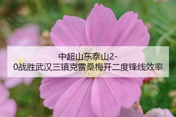 zhong-chao-shan-dong-tai-shan-zhan-sheng-wu-han-san-zhen-ke-lei-sang-mei-kai-er-du-feng-xian-xiao-lv-3-596.jpg